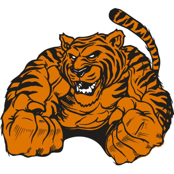 AR TIGER 55 RC Thumbnail