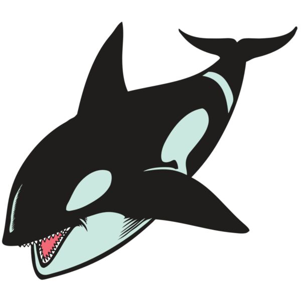 BAW KLRWHALE 02 RC Thumbnail